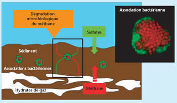 Principe de fonctionnement de la barrière anti-méthane océanique